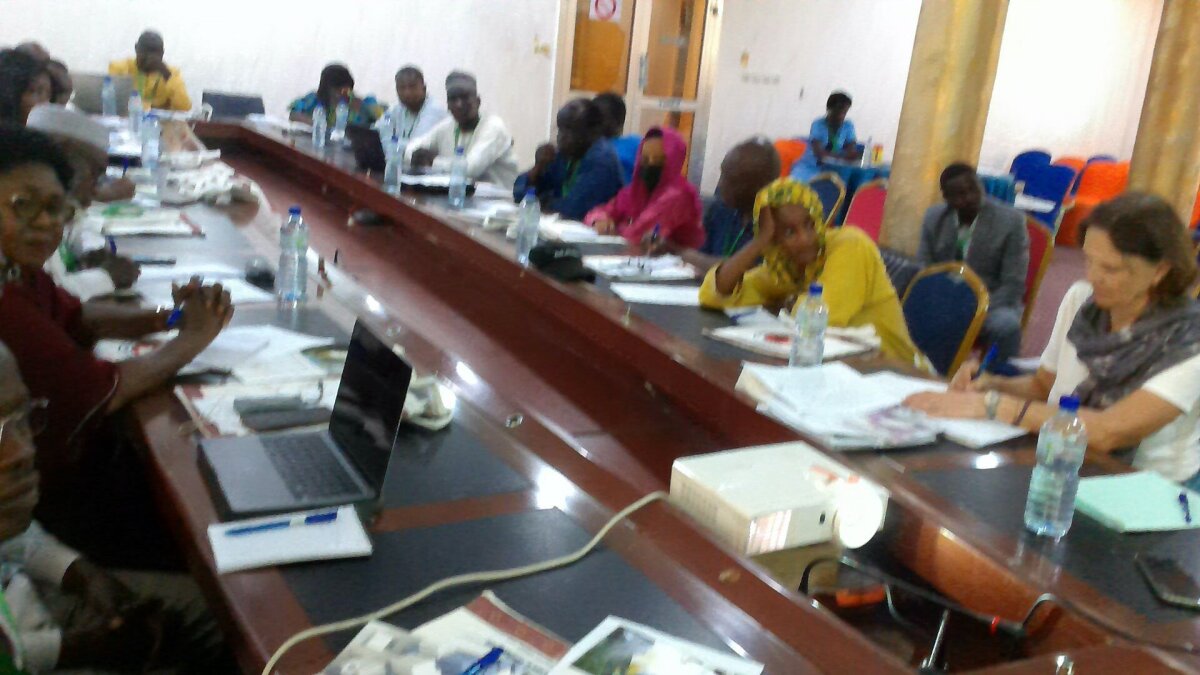 QUEL EST LE ROLE DES MEDIAS POUR L’APAISEMENT DANS LE CONTEXTE POST TRANSITION AU TCHAD ?