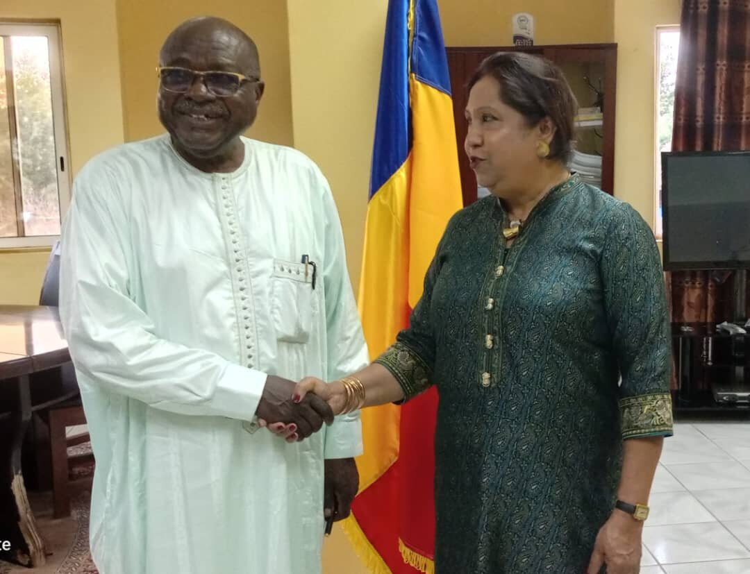 Tchad. La représentante spéciale du secrétaire général de l’ONU reçue en audience  par le Ministre de la justice